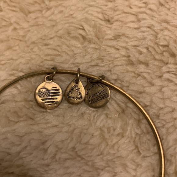 Alex and ani Detroit lions bracelet - Picture 4 of 5